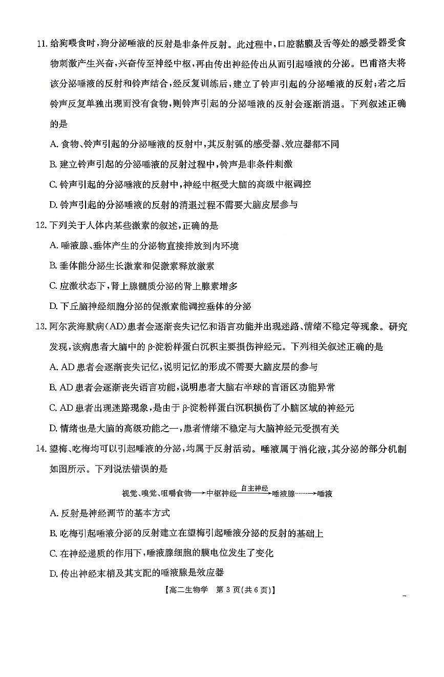 广东省2025-2026学年高二上学期10月联考生物试卷（PDF版附解析）第3页