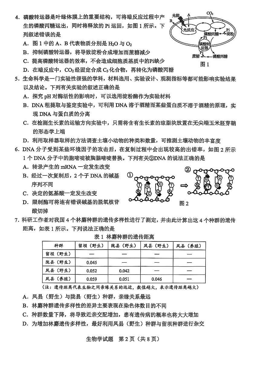 广西基础教育高质量发展共同体2026届高三上学期适应性检测生物试卷（PDF版附解析）第2页