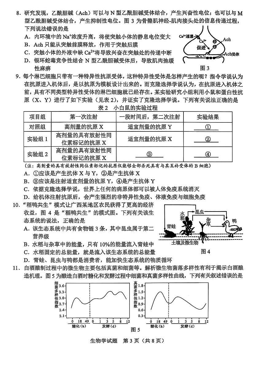 广西基础教育高质量发展共同体2026届高三上学期适应性检测生物试卷（PDF版附解析）第3页
