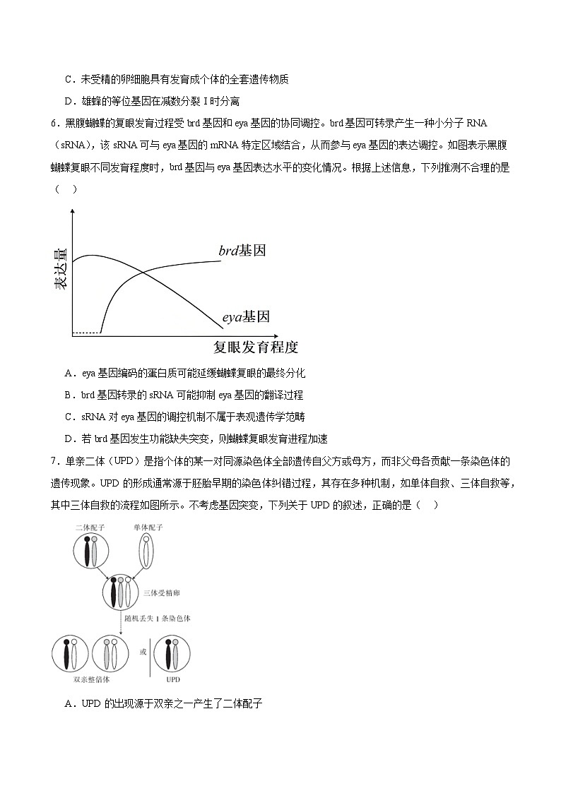 江西省赣州市2025-2026学年高二上学期10月联考生物试卷（Word版附答案）第2页