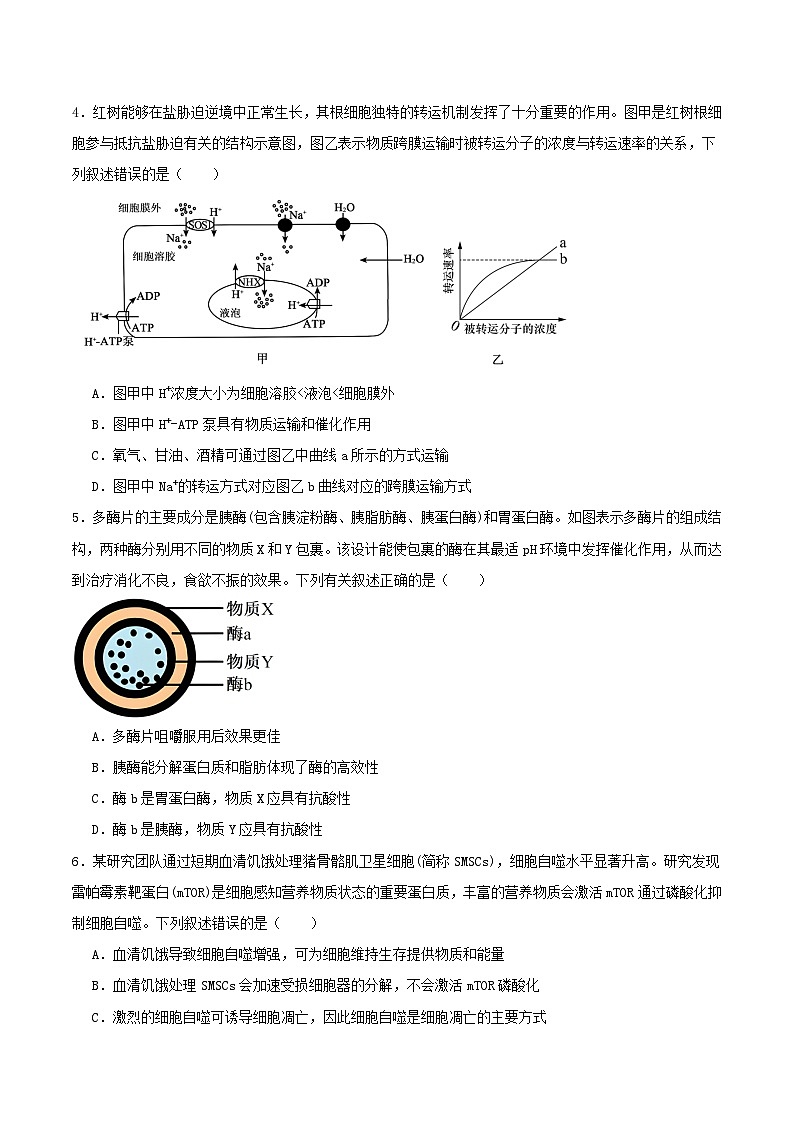 重庆市2025_2026学年高三生物上学期10月月考试题第2页