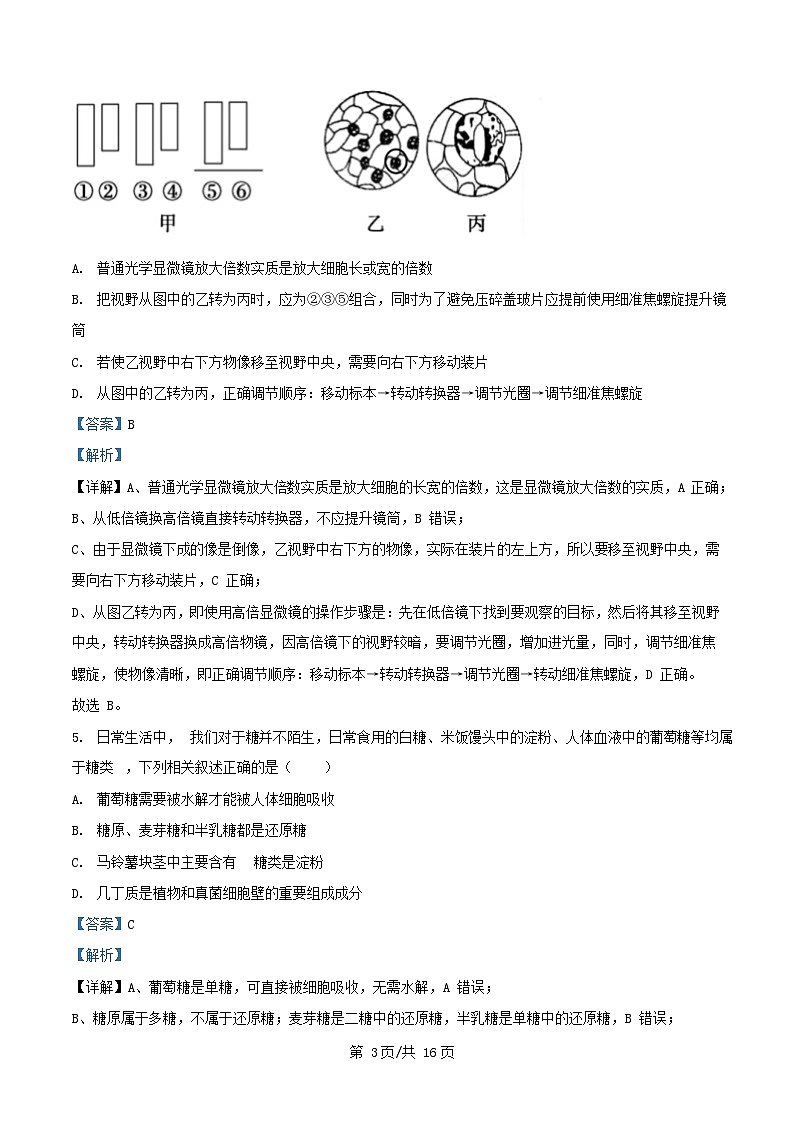 重庆市2025_2026学年高一生物上学期10月月考试题含解析第3页