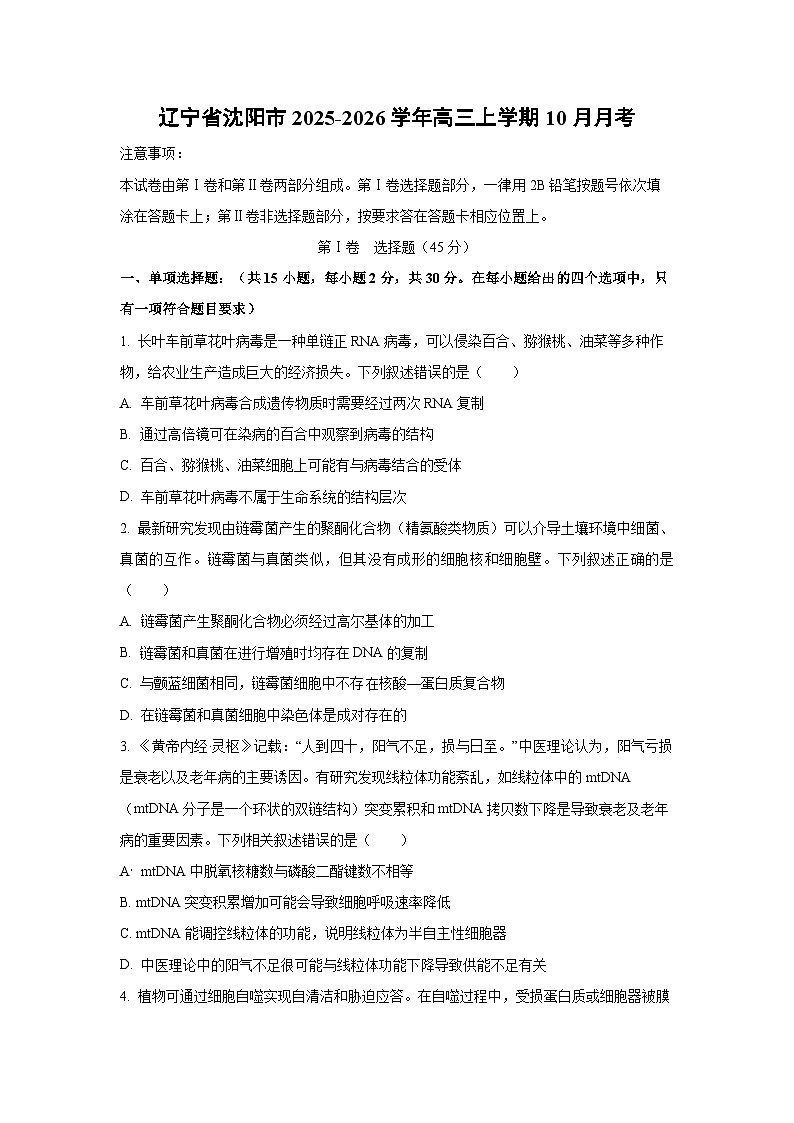 2025~2026学年辽宁省沈阳市高三（上）10月月考生物试题（学生版）第1页
