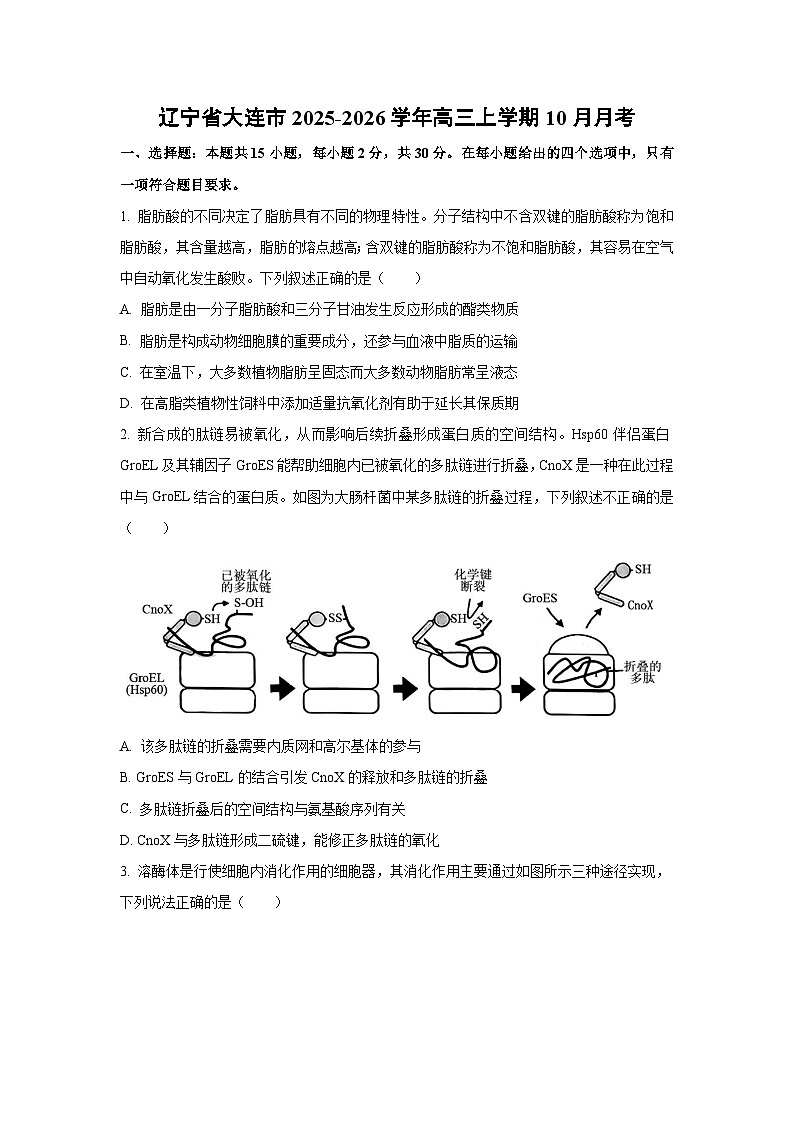 2025~2026学年辽宁省大连市高三（上）10月月考生物试题第1页