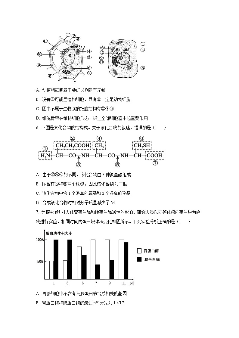 2025~2026学年辽宁省大连市高三（上）10月月考生物试题第3页