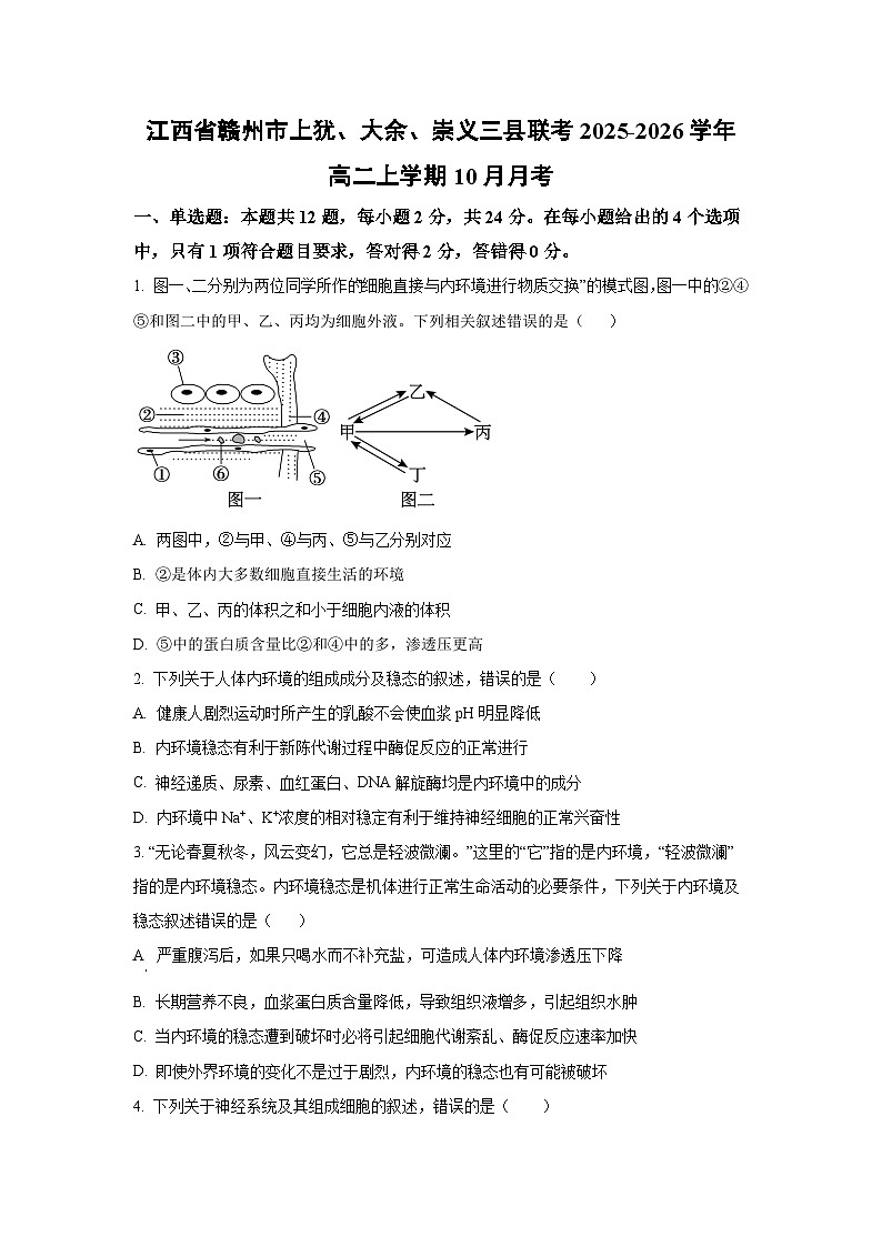 2025~2026学年江西省赣州市上犹、大余、崇义三县联考高二（上）10月月考生物试题第1页