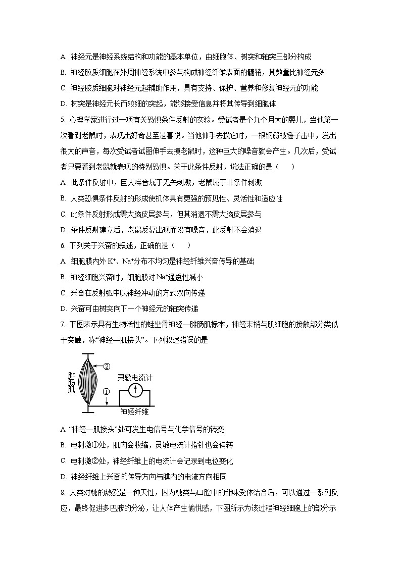 2025~2026学年江西省赣州市上犹、大余、崇义三县联考高二（上）10月月考生物试题第2页