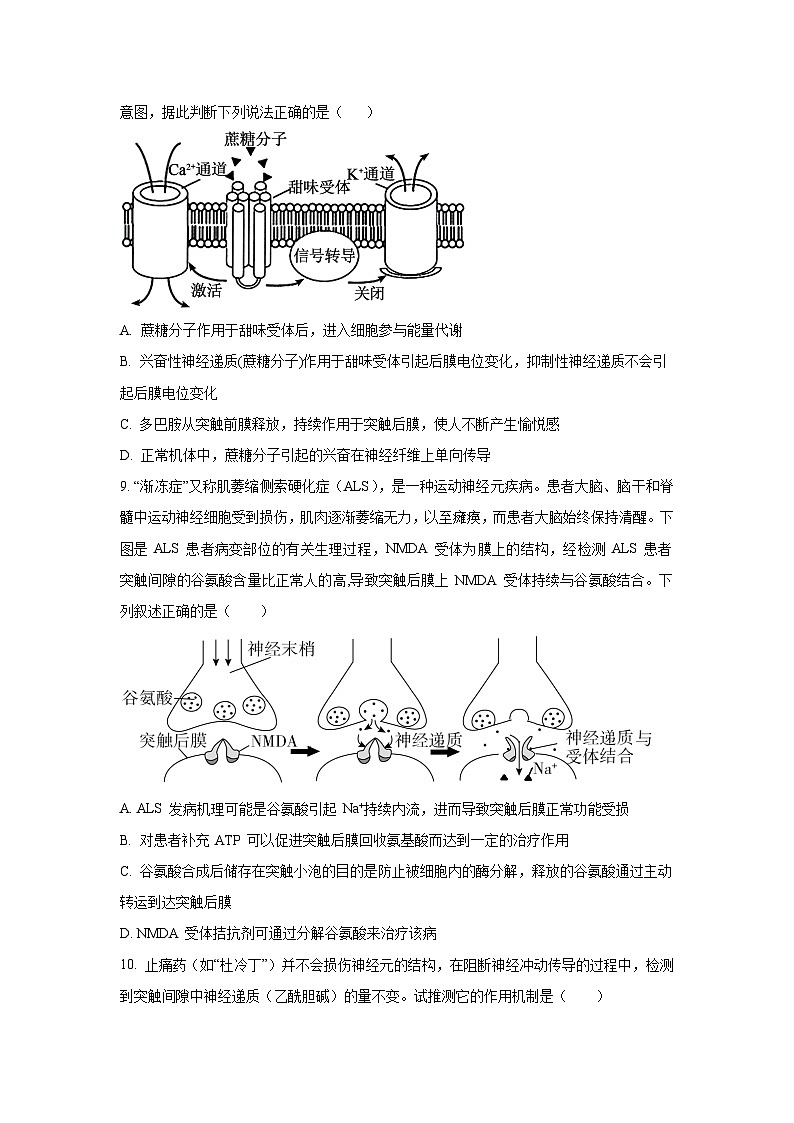 2025~2026学年江西省赣州市上犹、大余、崇义三县联考高二（上）10月月考生物试题第3页