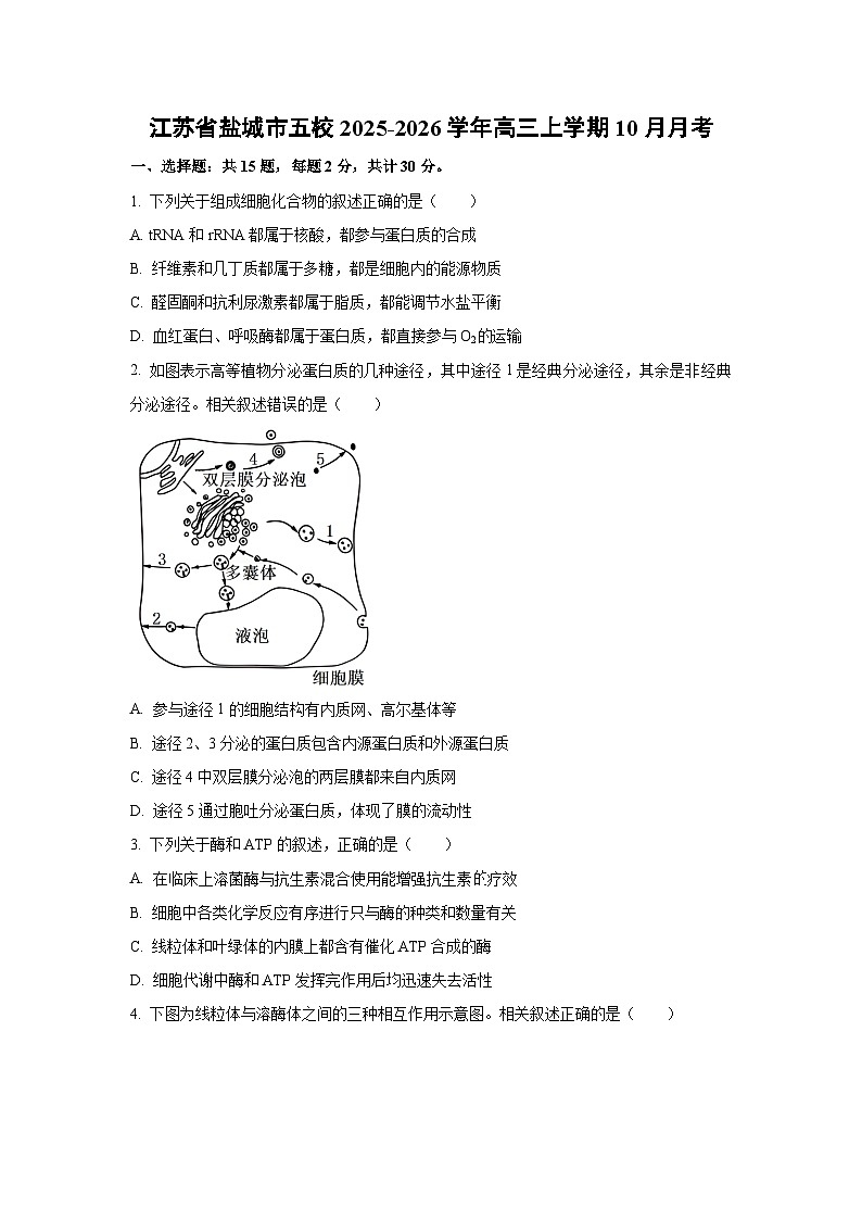 2025~2026学年江苏省盐城市五校高三（上）10月月考生物试题（学生版）第1页