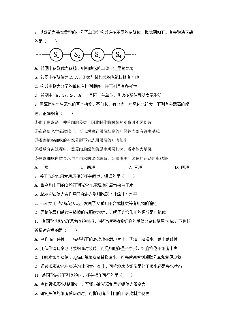 2025~2026学年江苏省盐城市五校高三（上）10月月考生物试题（学生版）第3页