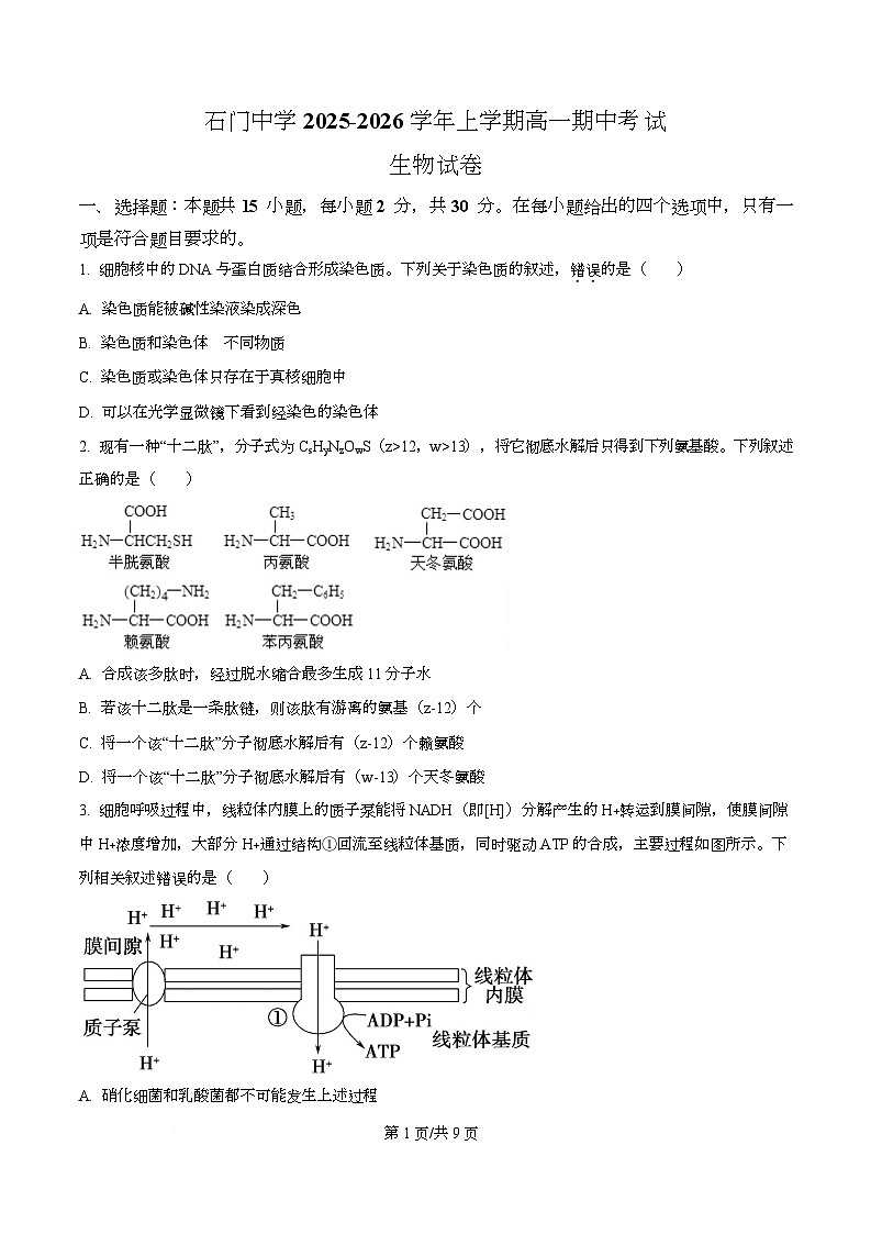 广东省佛山市南海区石门中学2025-2026学年高一上学期10月期中生物试题  Word版无答案第1页