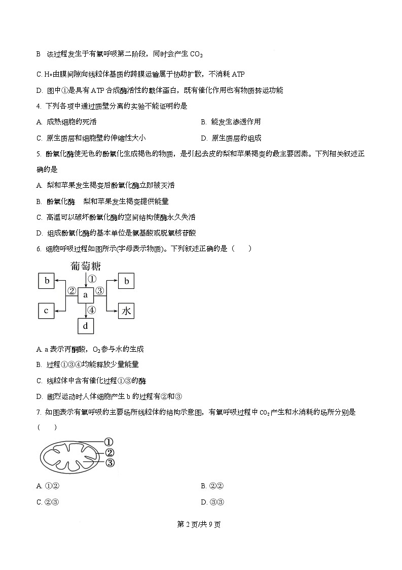 广东省佛山市南海区石门中学2025-2026学年高一上学期10月期中生物试题  Word版无答案第2页