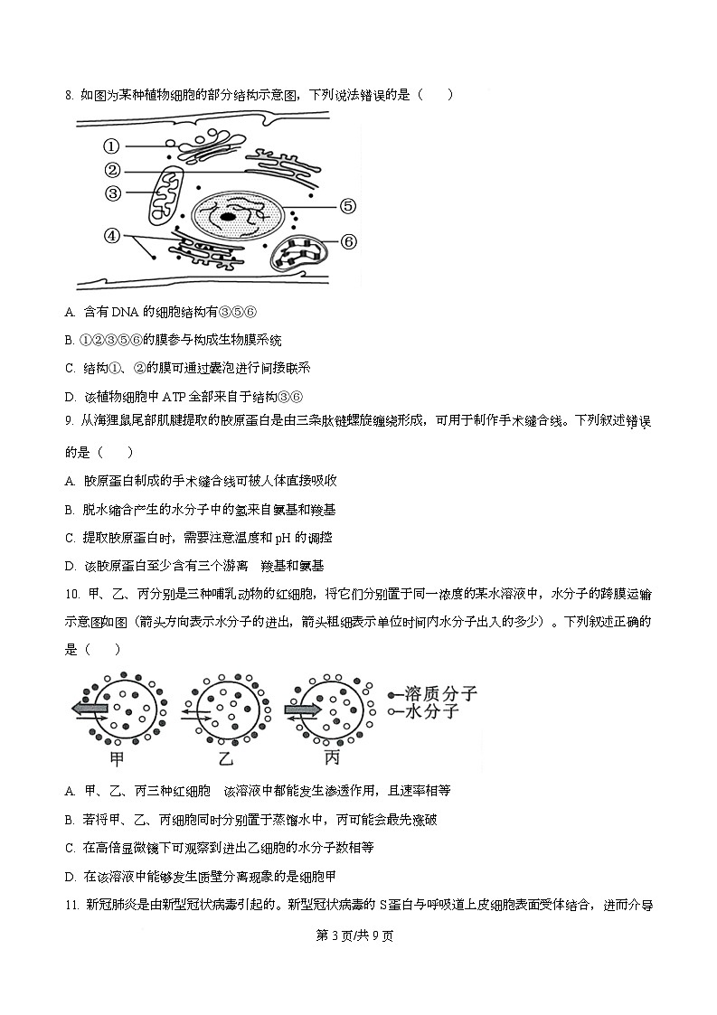 广东省佛山市南海区石门中学2025-2026学年高一上学期10月期中生物试题  Word版无答案第3页