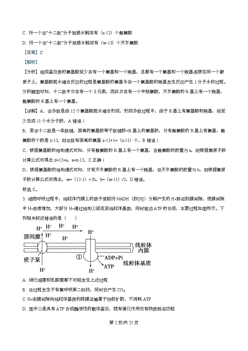 广东省佛山市南海区石门中学2025-2026学年高一上学期10月期中生物试题  Word版含解析第2页