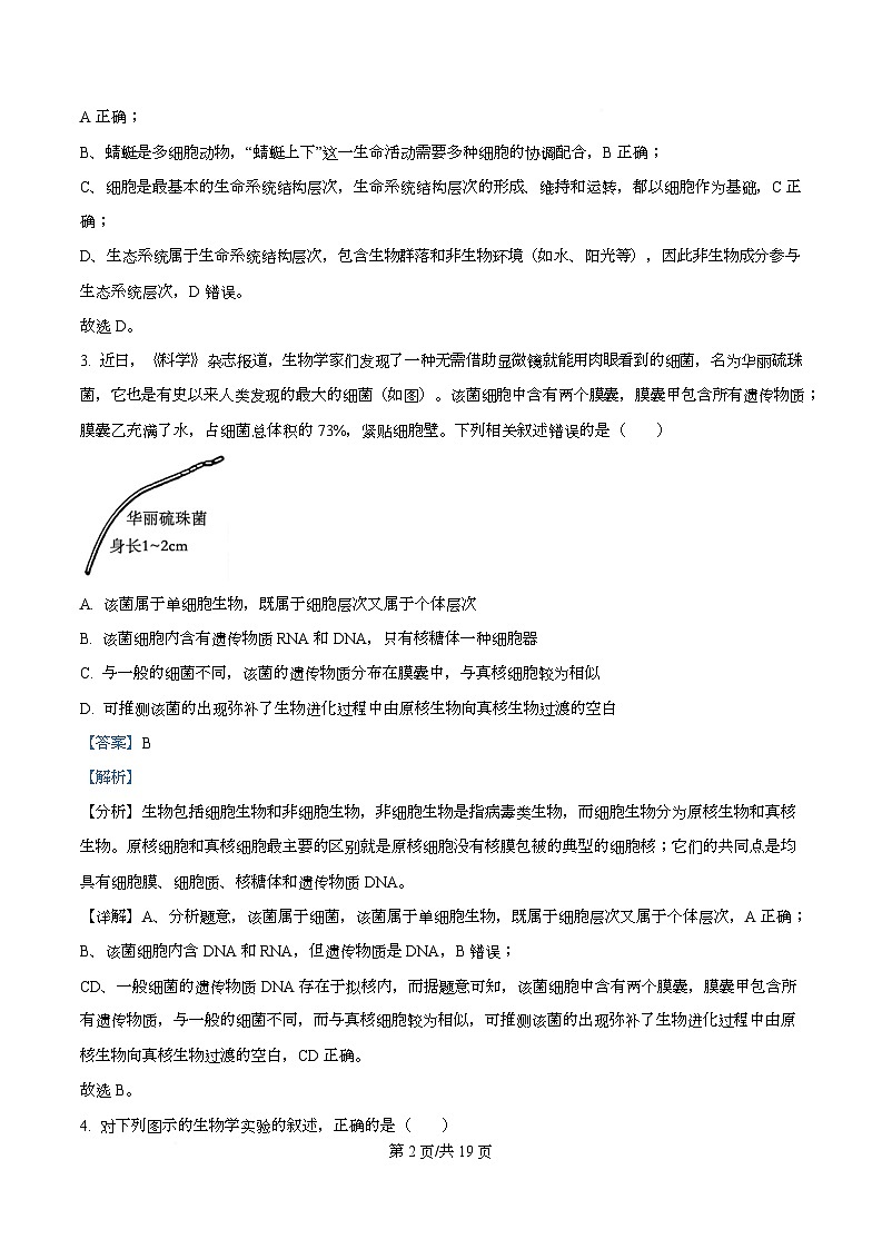 广东省茂名市第一中学2025-2026学年高一上学期10月期中生物试题 Word版含解析第2页