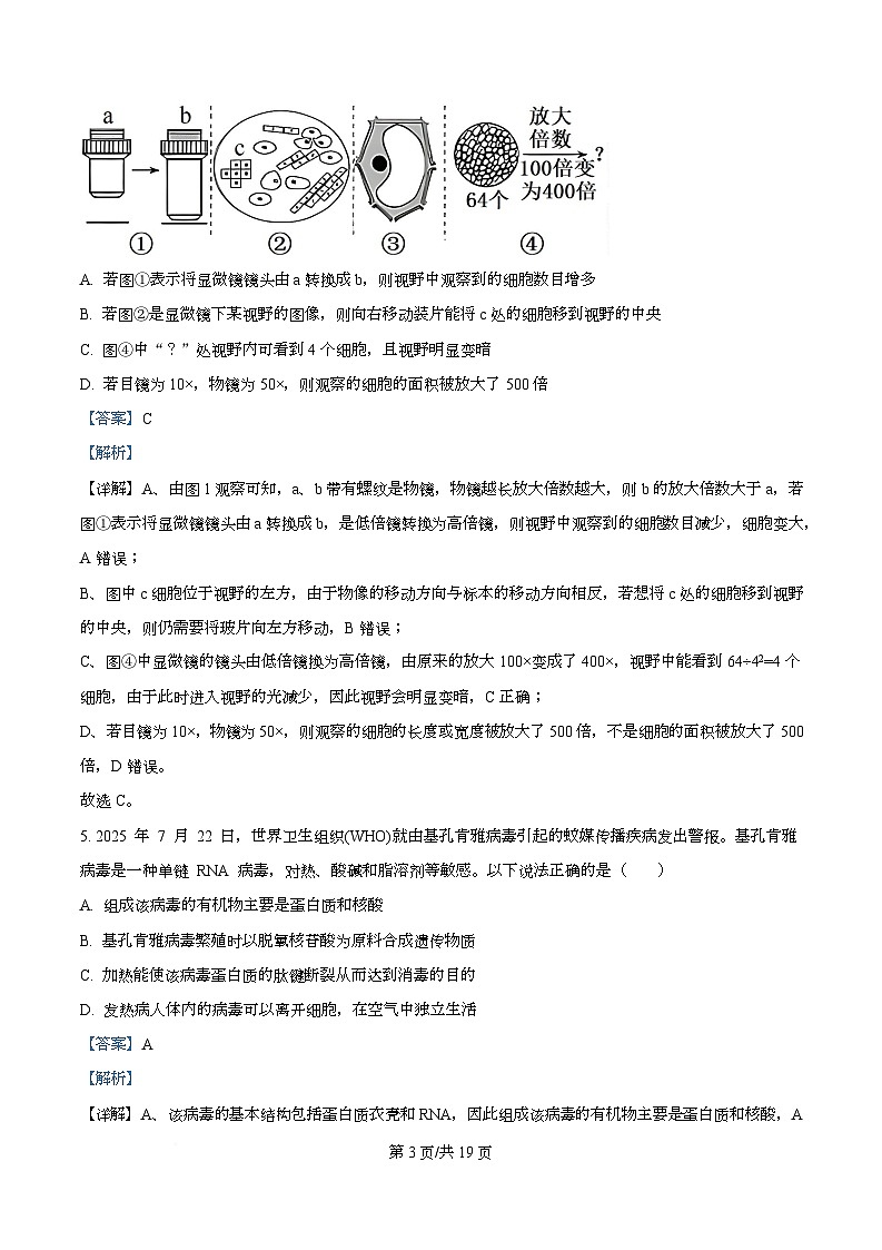 广东省茂名市第一中学2025-2026学年高一上学期10月期中生物试题 Word版含解析第3页