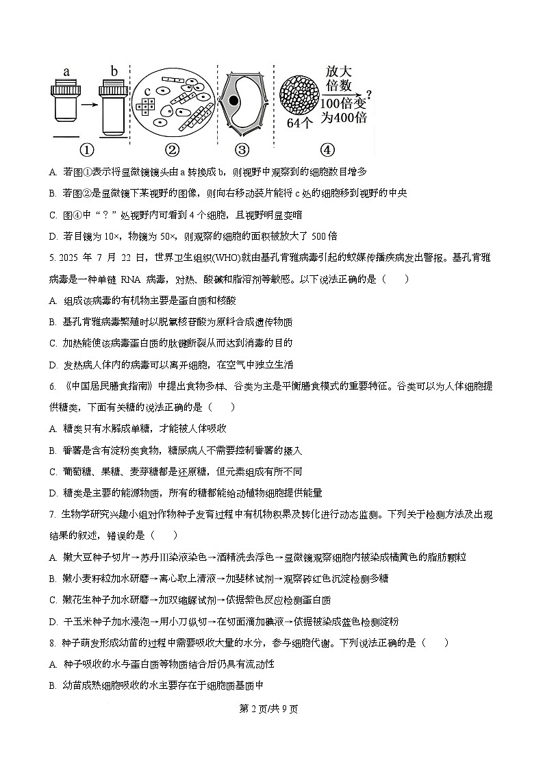 广东省茂名市第一中学2025-2026学年高一上学期10月期中生物试题 Word版无答案第2页