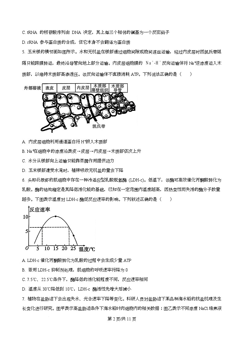 重庆市渝中区重庆市巴蜀中学校2025-2026学年高三上学期10月月考生物试题  Word版无答案第2页