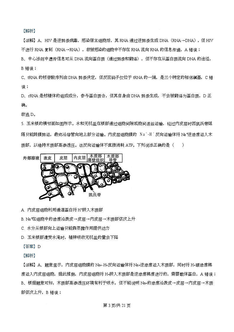 重庆市渝中区重庆市巴蜀中学校2025-2026学年高三上学期10月月考生物试题  Word版含解析第3页