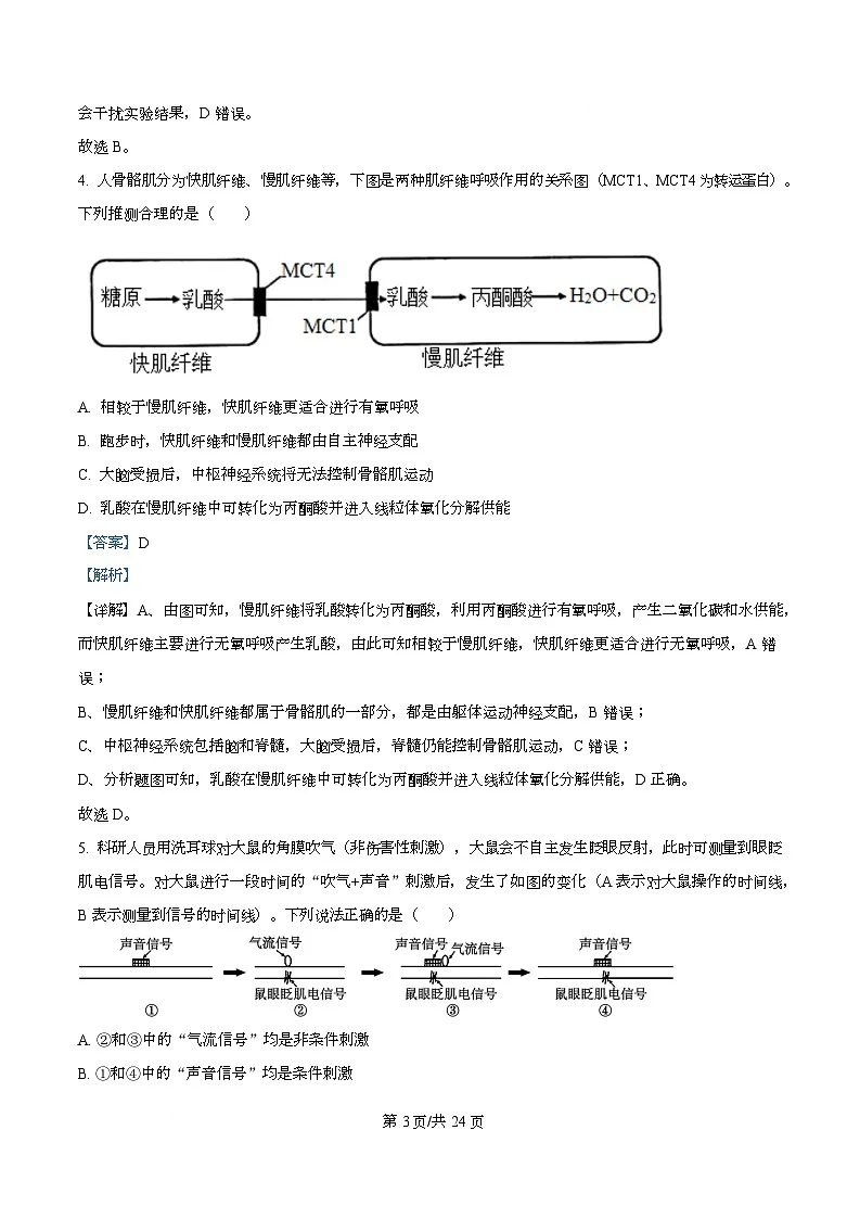 重庆市巴蜀中学教育集团2025-2026学年高二上学期10月月考生物试题 Word版含解析第3页