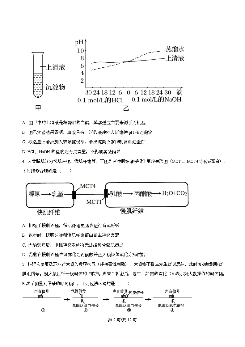 重庆市巴蜀中学教育集团2025-2026学年高二上学期10月月考生物试题 Word版无答案第2页