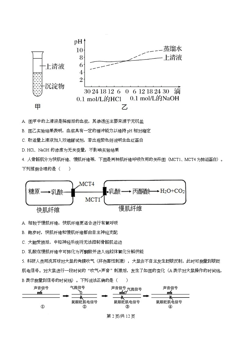 重庆市巴蜀中学教育集团2025-2026学年高二上学期10月月考生物试题  Word版无答案第2页