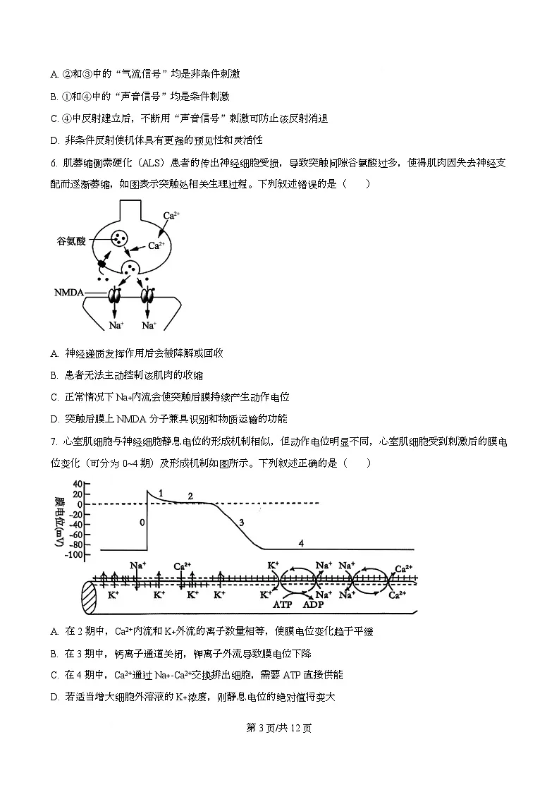 重庆市巴蜀中学教育集团2025-2026学年高二上学期10月月考生物试题 Word版无答案第3页