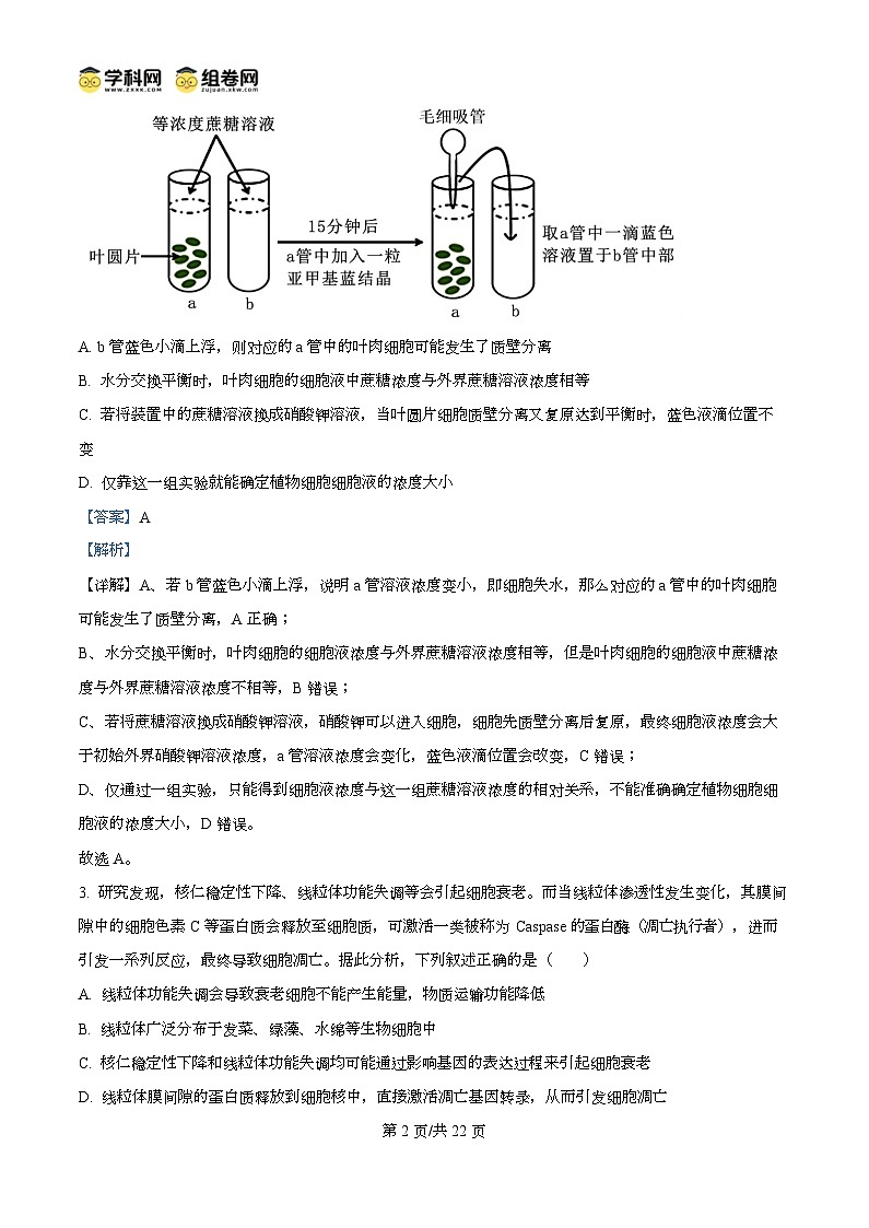 重庆市第八中学校2025-2026学年高三上学期10月月考生物试卷  Word版含解析第2页