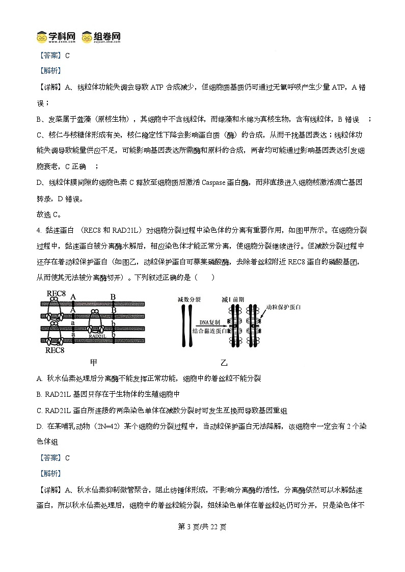 重庆市第八中学校2025-2026学年高三上学期10月月考生物试卷  Word版含解析第3页