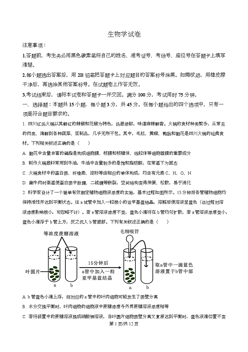 重庆市第八中学校2025-2026学年高三上学期10月月考生物试卷  Word版无答案第1页