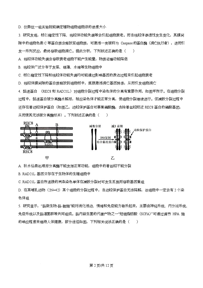 重庆市第八中学校2025-2026学年高三上学期10月月考生物试卷  Word版无答案第2页