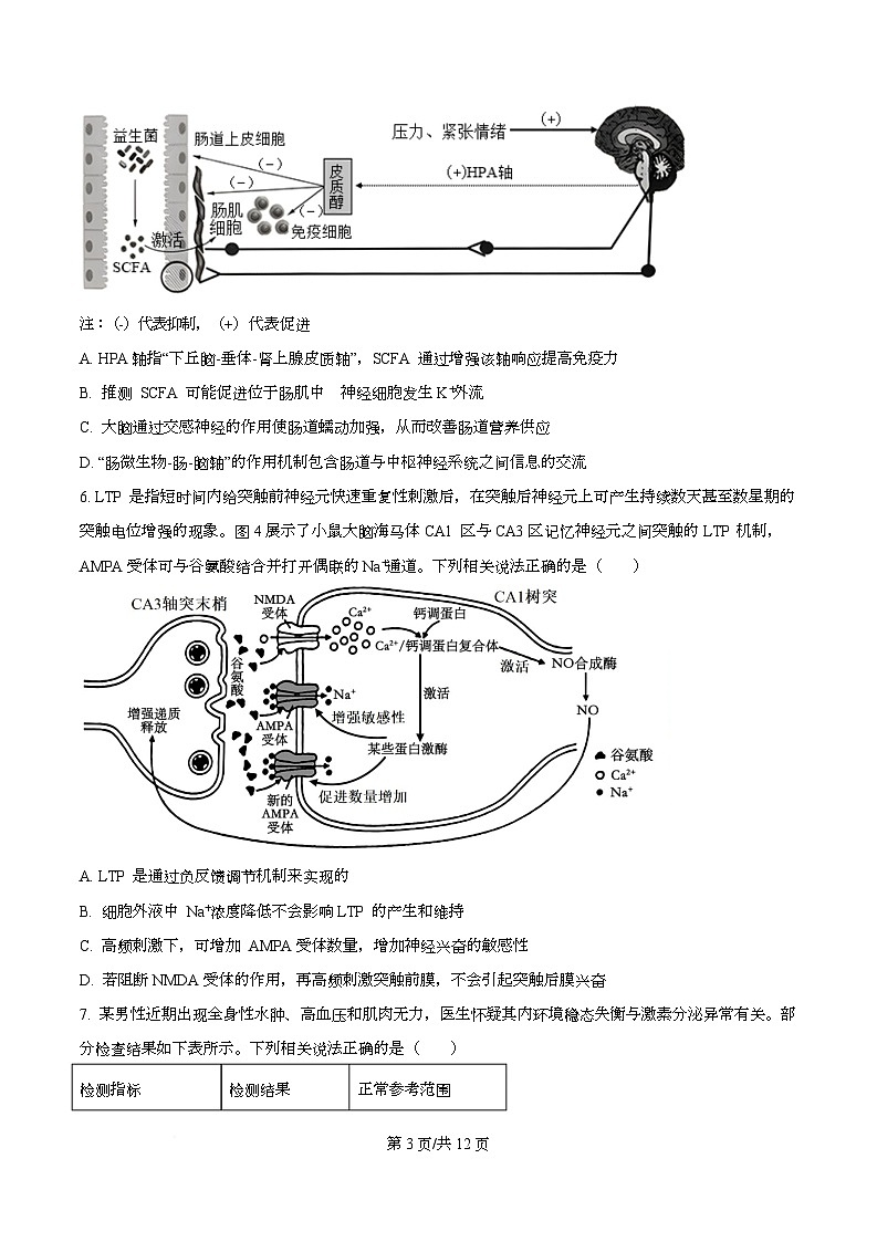 重庆市第八中学校2025-2026学年高三上学期10月月考生物试卷  Word版无答案第3页