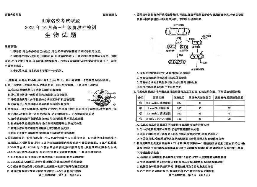 山东省名校考试联盟2026届高三上学期10月阶段性检测生物试卷第1页