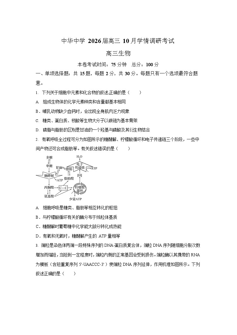 江苏省南京市中华中学2025-2026学年高三10月月考生物试卷第1页