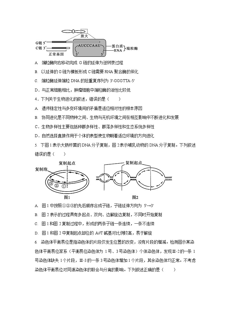 江苏省南京市中华中学2025-2026学年高三10月月考生物试卷第2页