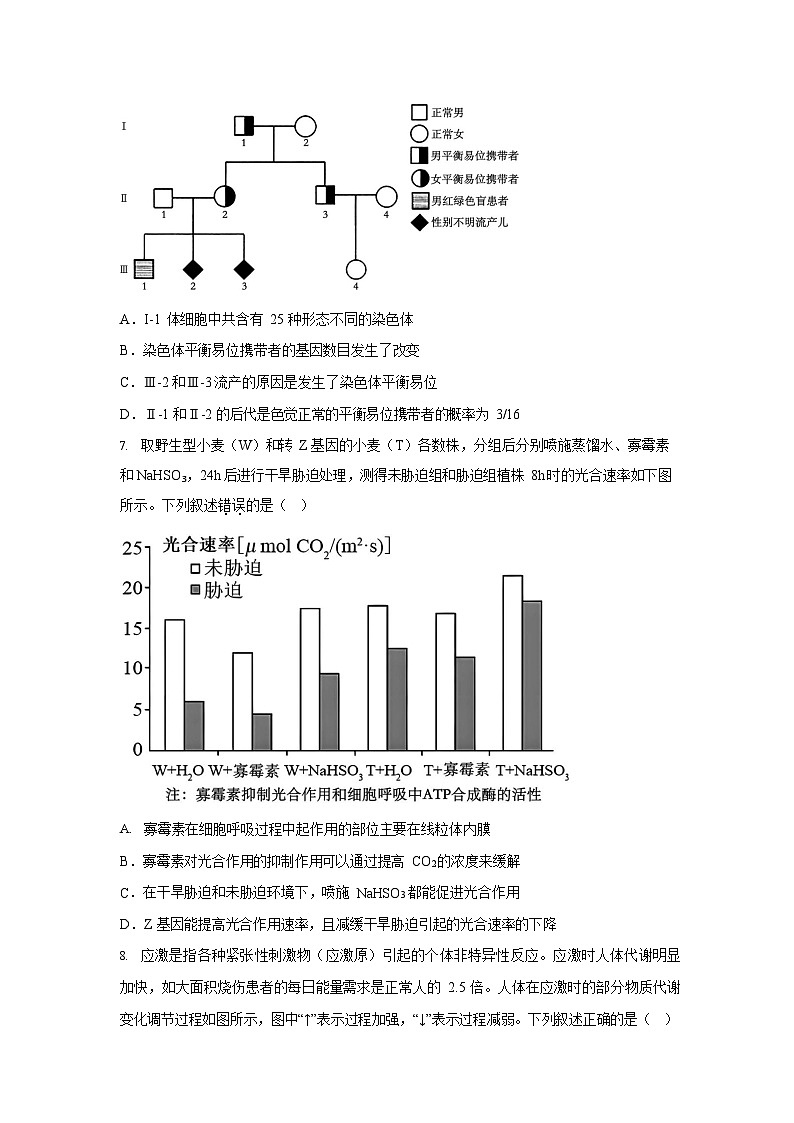 江苏省南京市中华中学2025-2026学年高三10月月考生物试卷第3页