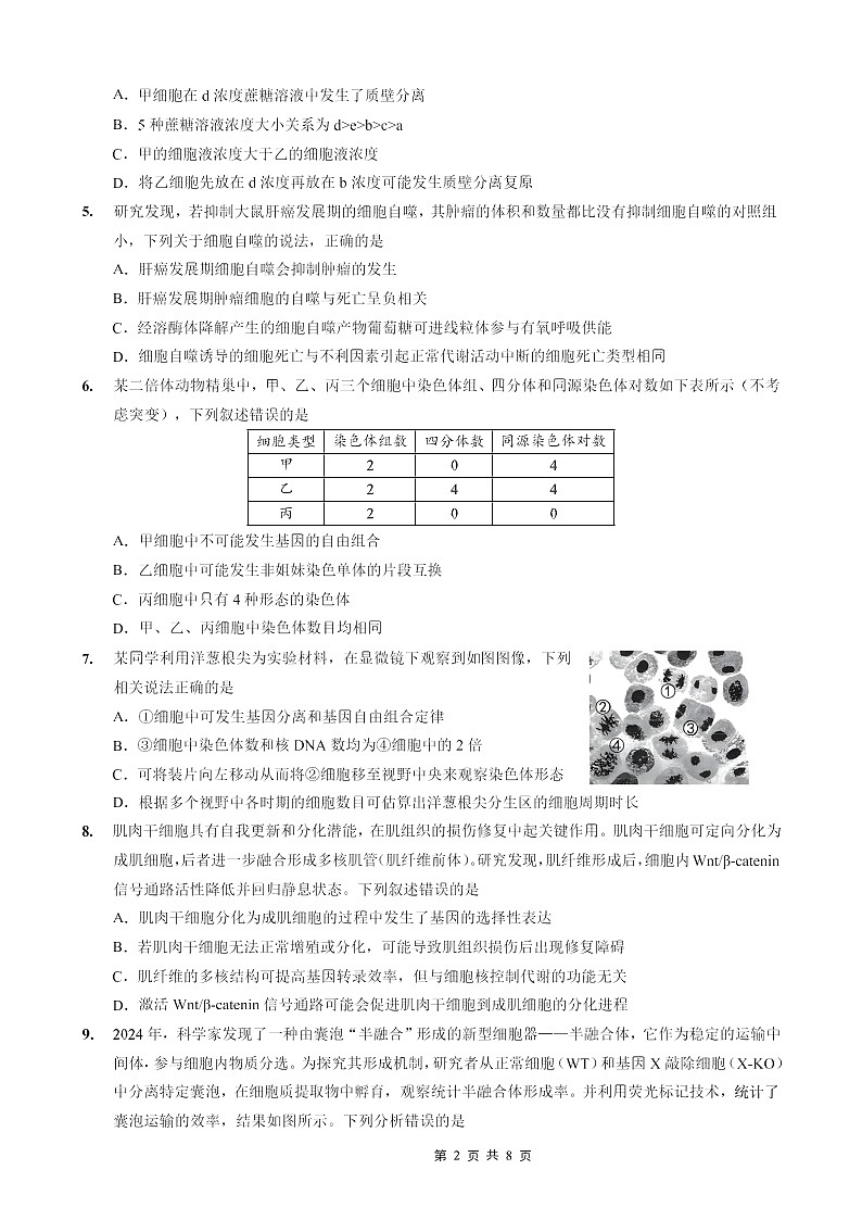 重庆市第一中学2025-2026学年高三上学期10月月考生物试卷第2页