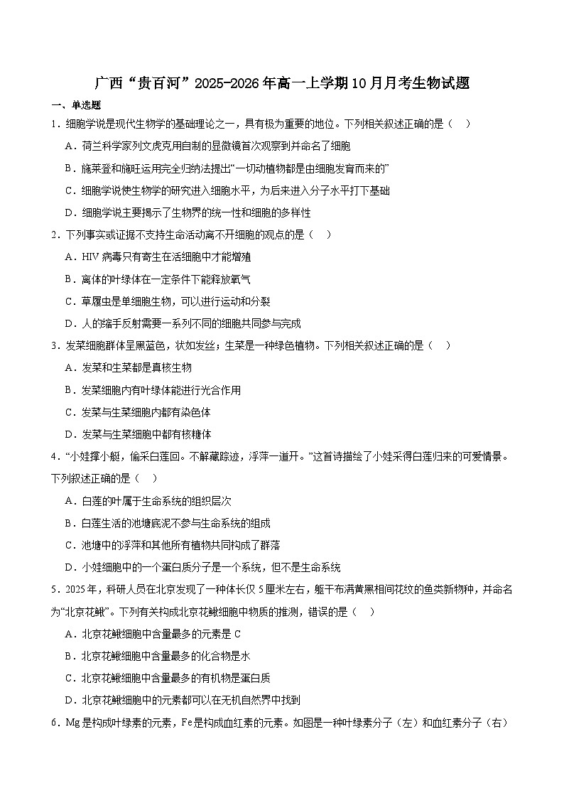 广西壮族自治区“贵百河”2025-2026学年高一上学期10月月考生物试题（Word版附答案）第1页
