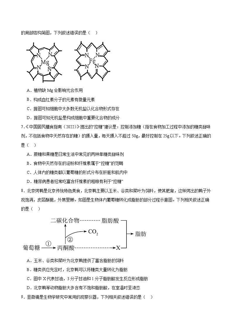 广西壮族自治区“贵百河”2025-2026学年高一上学期10月月考生物试题（Word版附答案）第2页