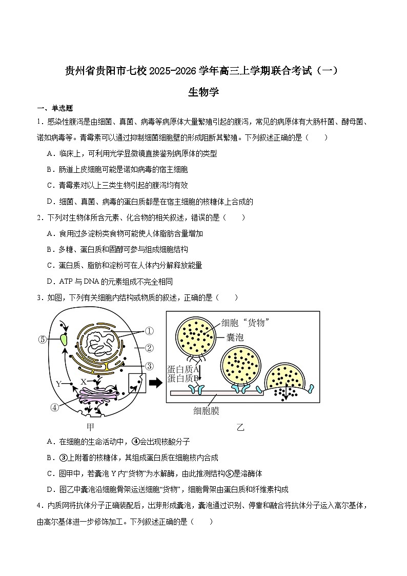 贵州省贵阳市七校联盟2026届高三上学期联合考试（一）生物试题（Word版附答案）第1页