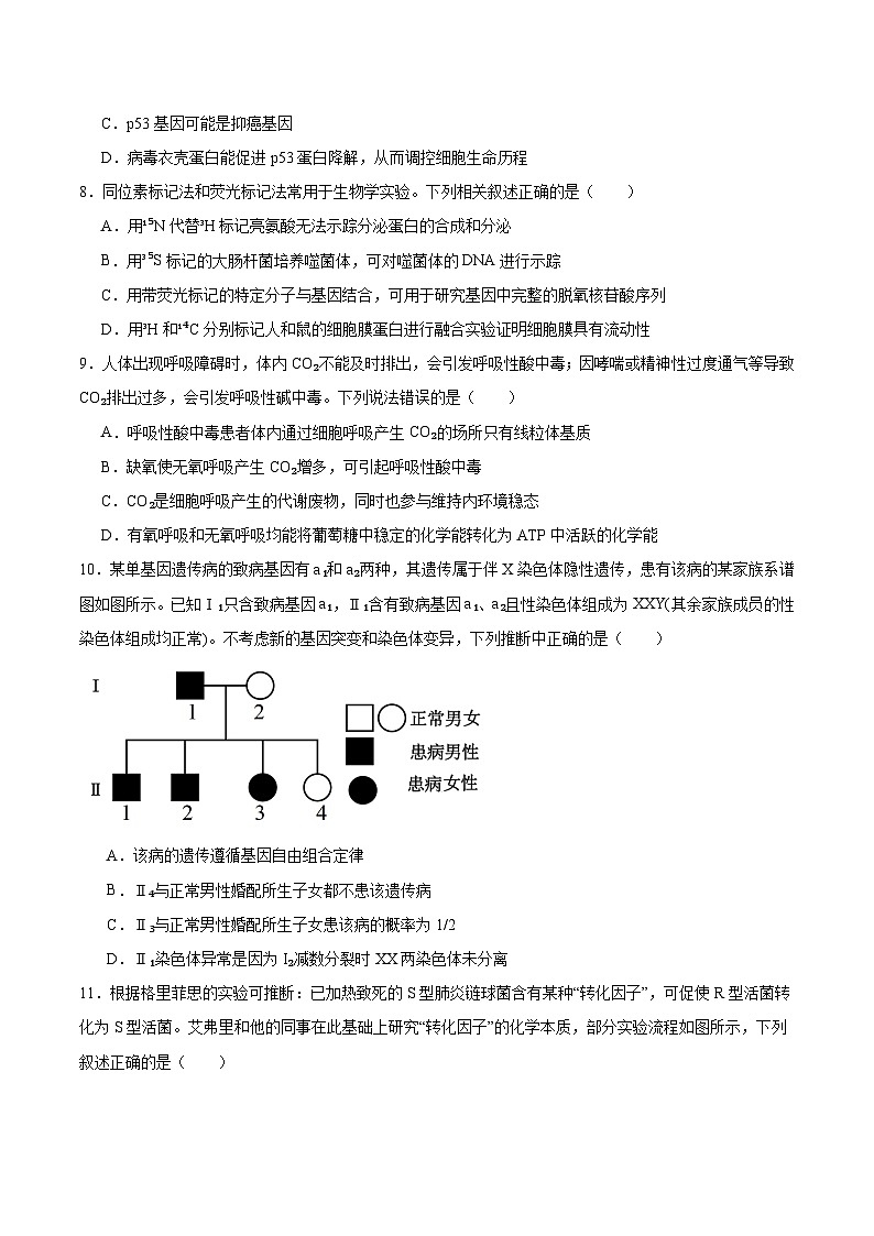 贵州省贵阳市七校联盟2026届高三上学期联合考试（一）生物试题（Word版附答案）第3页