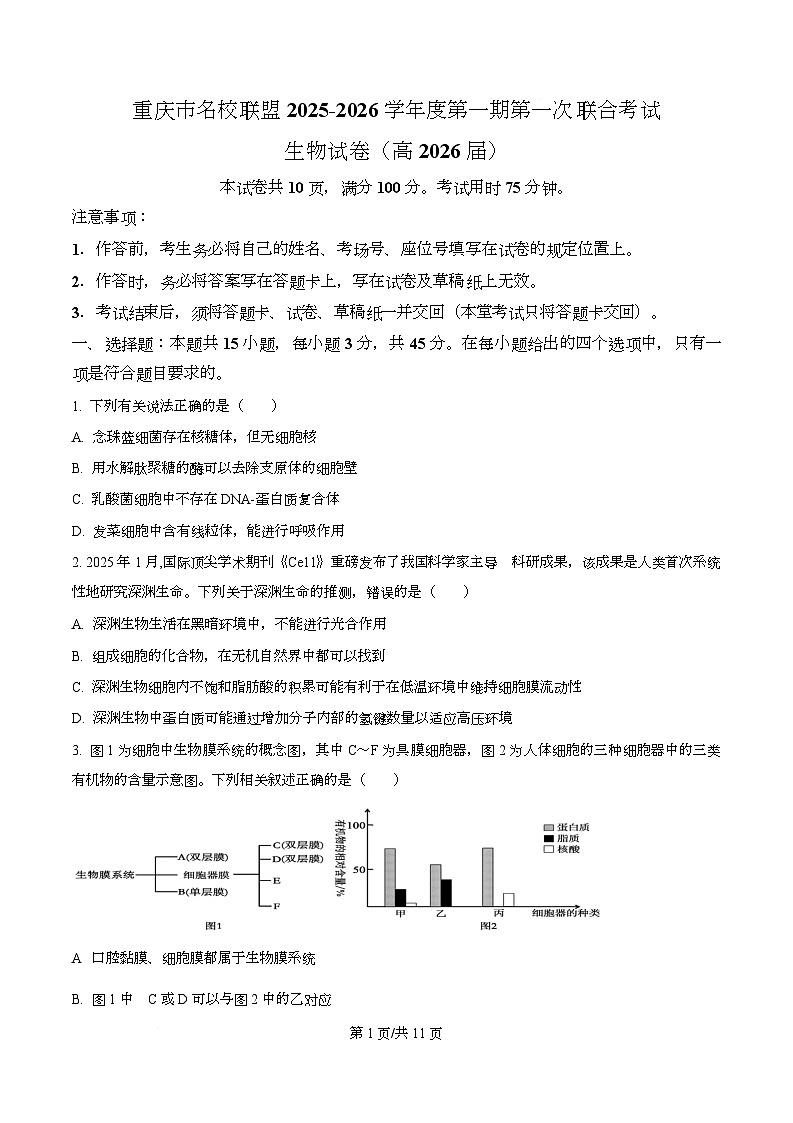 重庆市名校联盟2025-2026学年高三上学期10月第一次联考生物试题  Word版无答案第1页