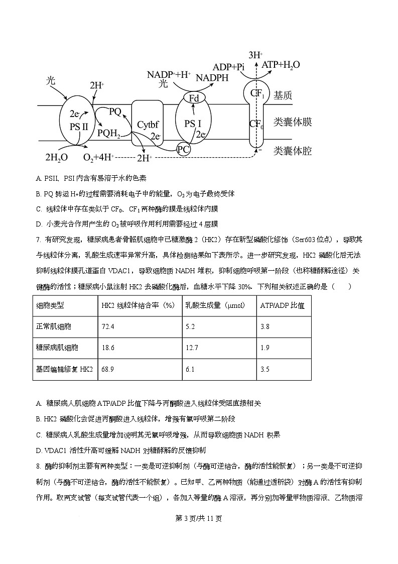 重庆市名校联盟2025-2026学年高三上学期10月第一次联考生物试题  Word版无答案第3页