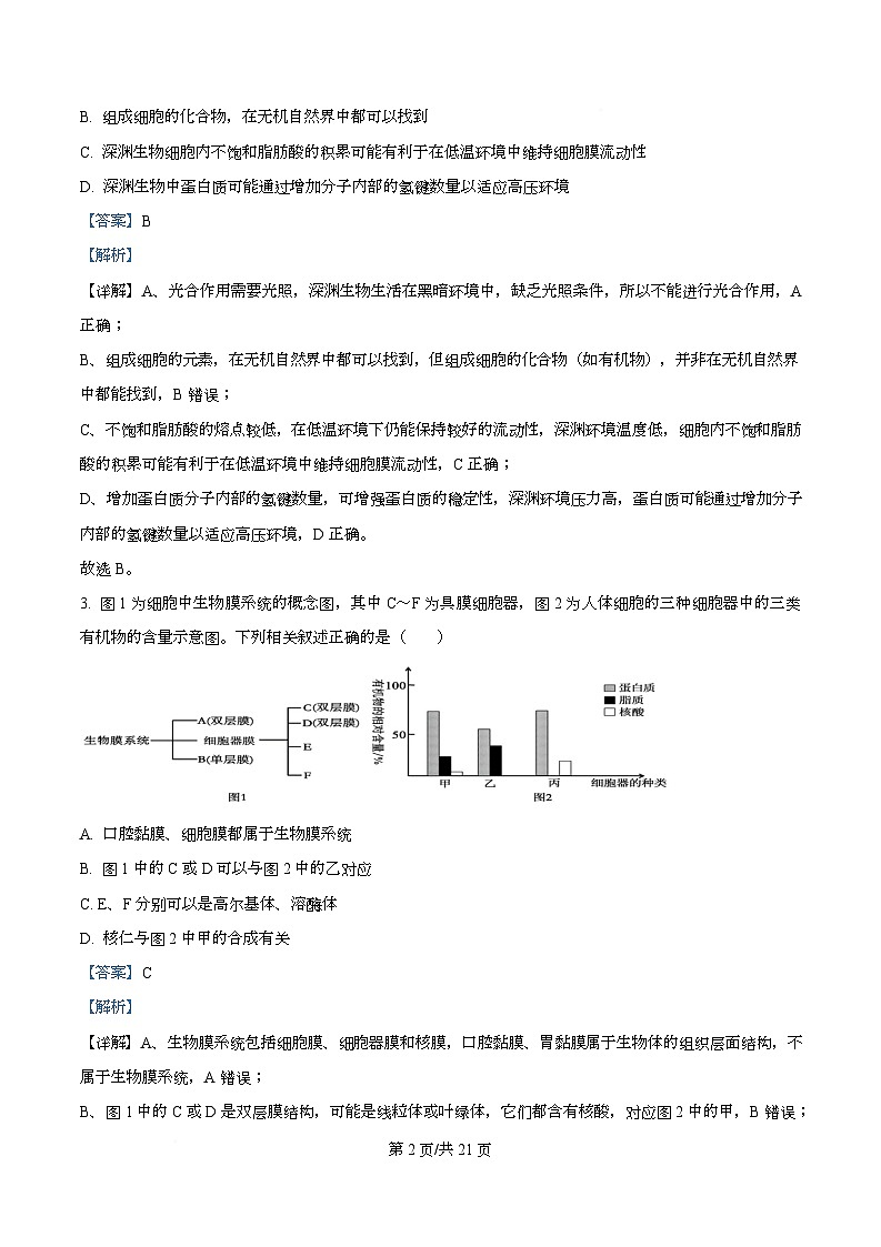 重庆市名校联盟2025-2026学年高三上学期10月第一次联考生物试题  Word版含解析第2页
