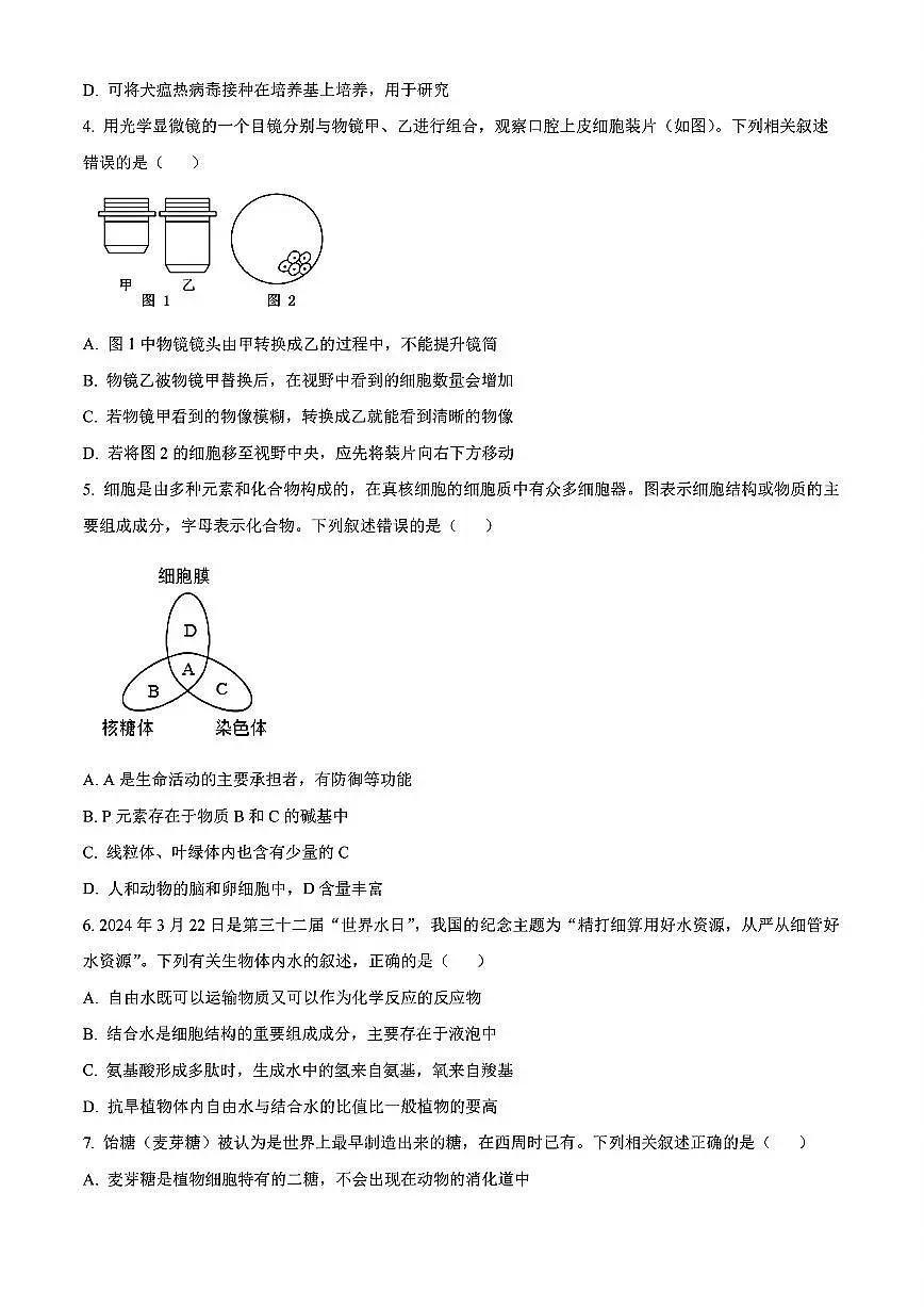 辽宁省沈阳市联合体2024-2025学年高一上学期11月期中考试生物试题含答案第2页