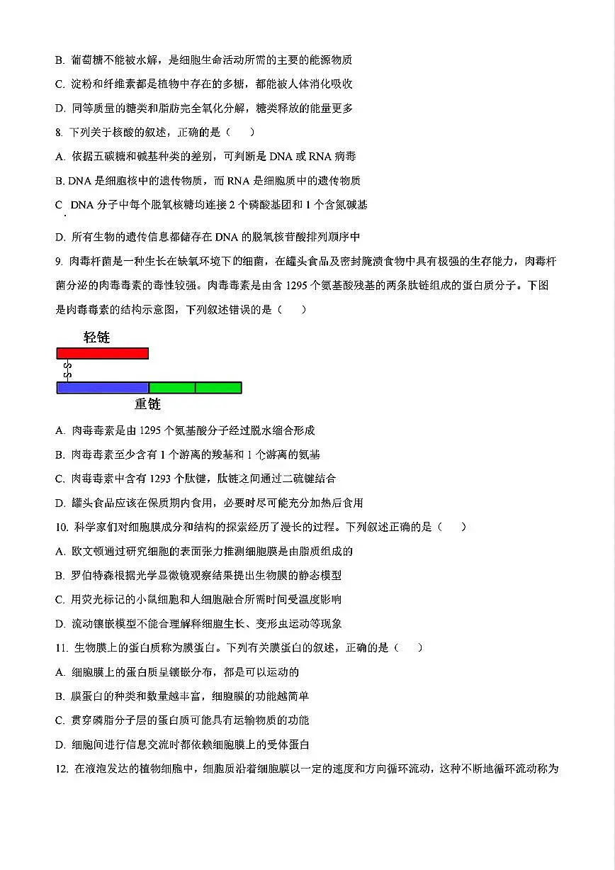 辽宁省沈阳市联合体2024-2025学年高一上学期11月期中考试生物试题含答案第3页