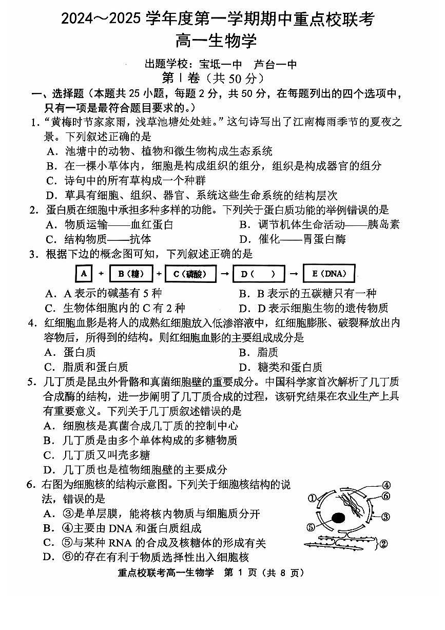 天津市五区县重点校联考2024-2025学年高一上学期11月期中生物试题含答案第1页