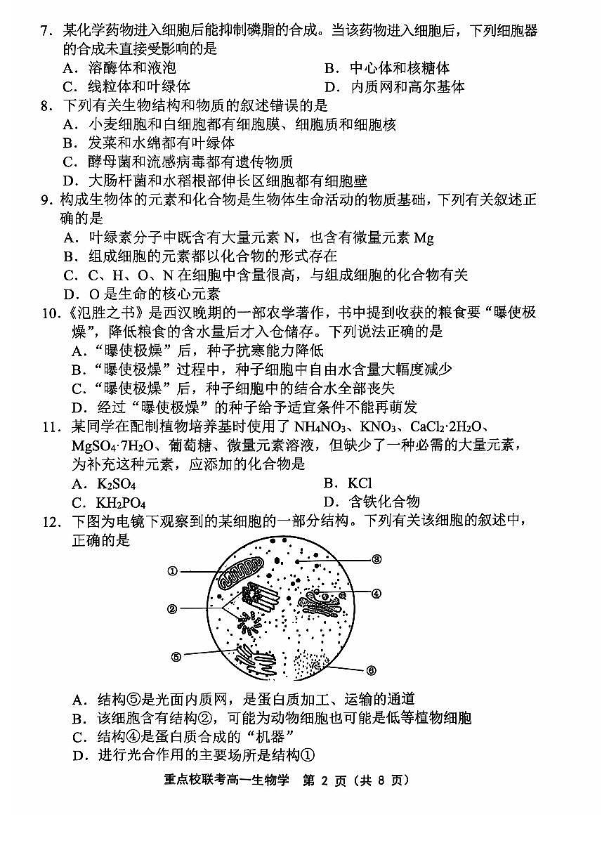 天津市五区县重点校联考2024-2025学年高一上学期11月期中生物试题含答案第2页