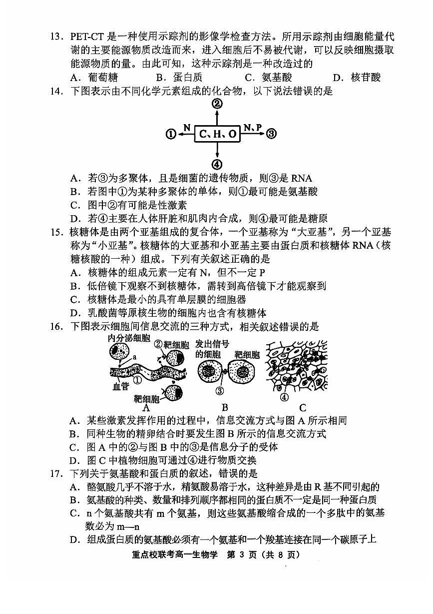天津市五区县重点校联考2024-2025学年高一上学期11月期中生物试题含答案第3页