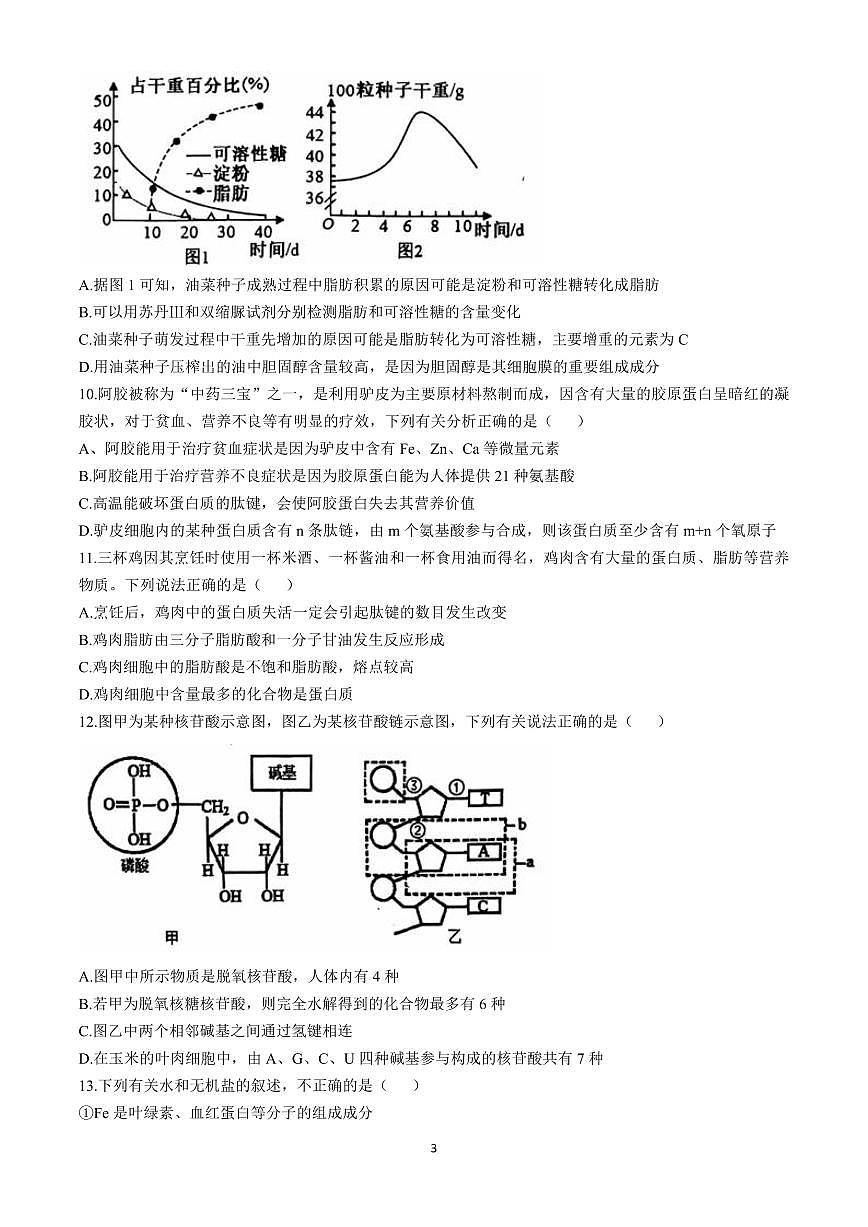 湖北省十堰市六县市区一中教联体2024-2025学年高一上学期11月联考试题生物含答案第3页